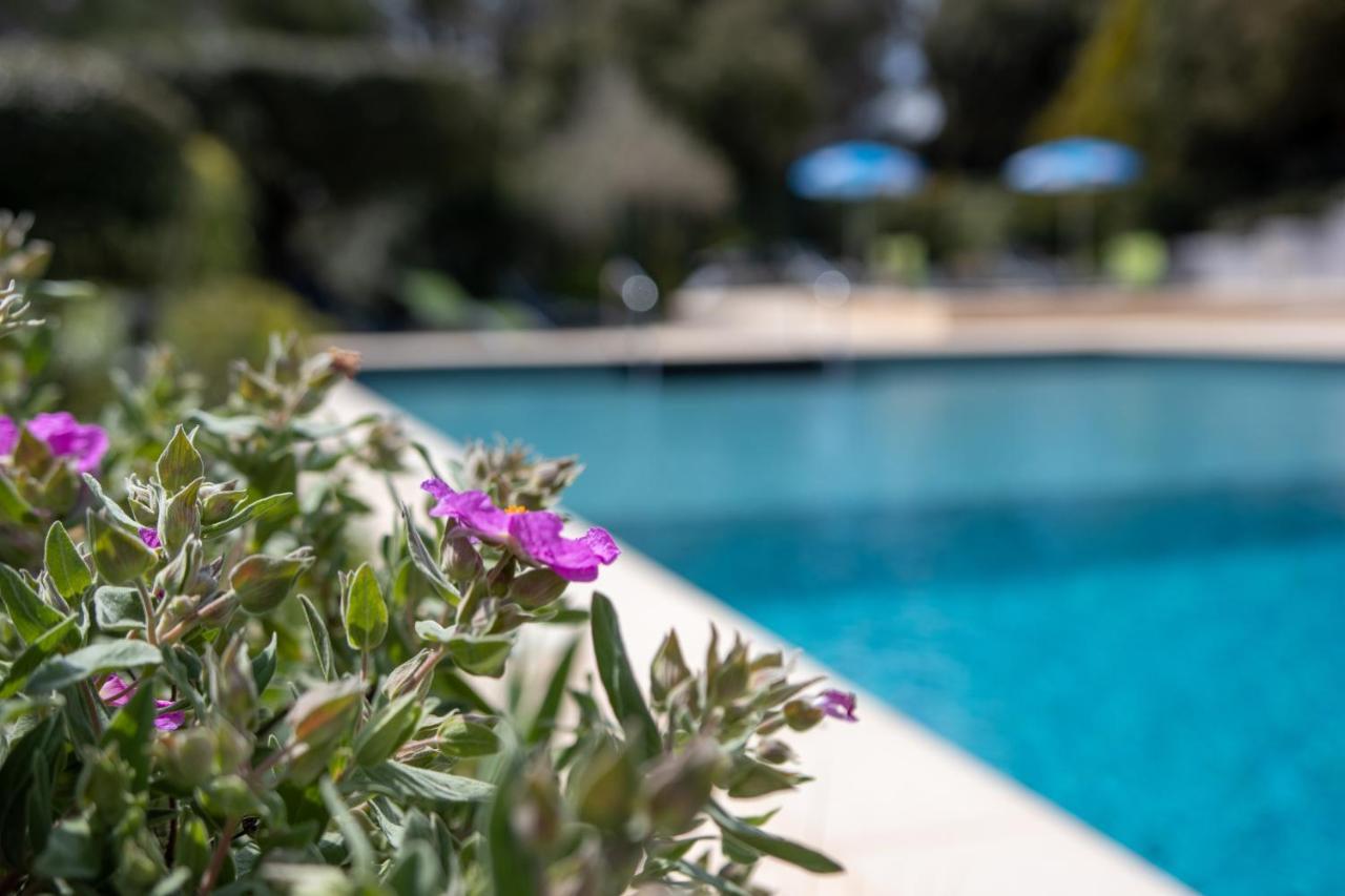 Les Arbousiers Village Hotel Provencal La Roquebrussanne Экстерьер фото